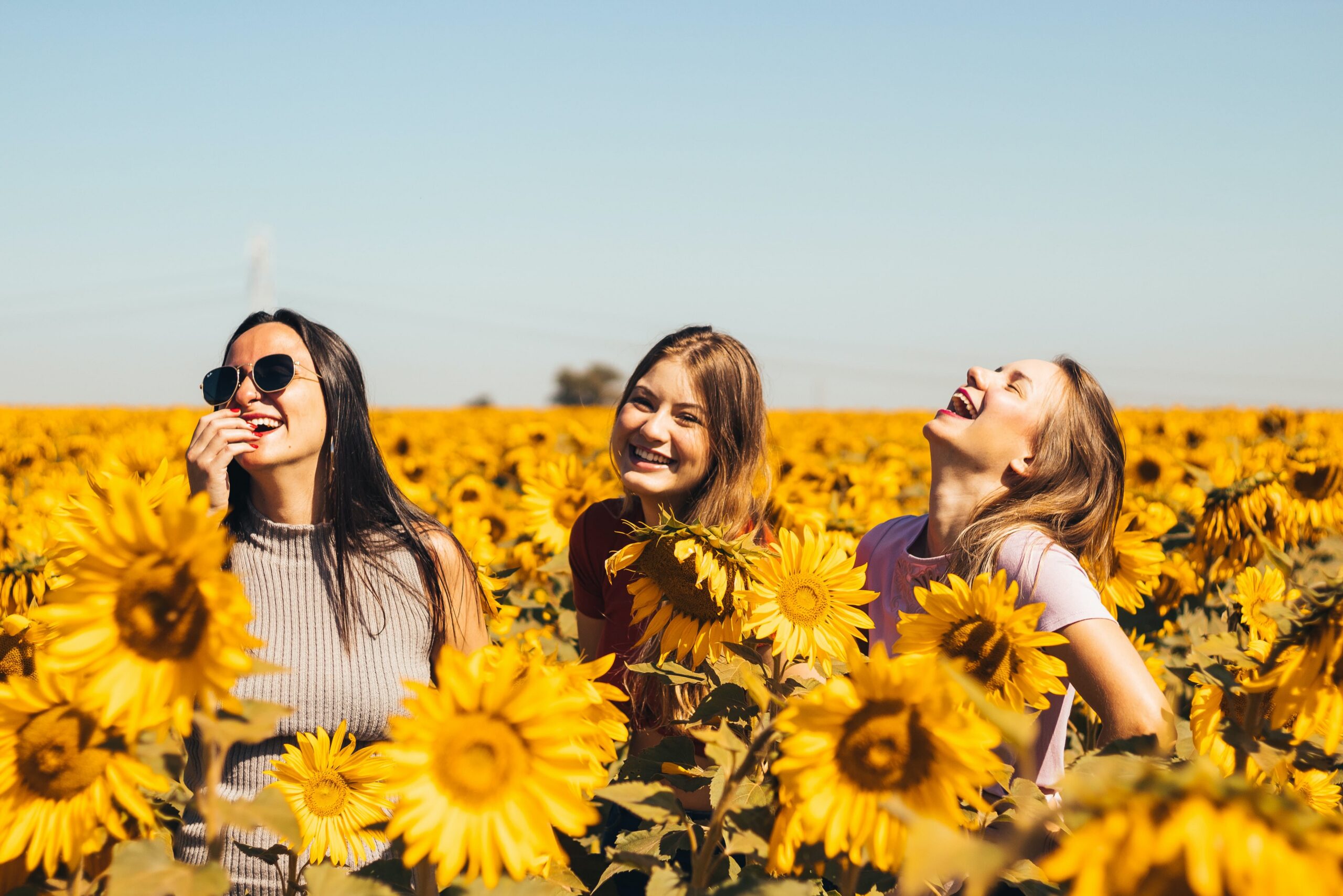 Tres chicas sonriendo en un campo de flores