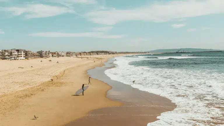 A group of people enjoying the beach